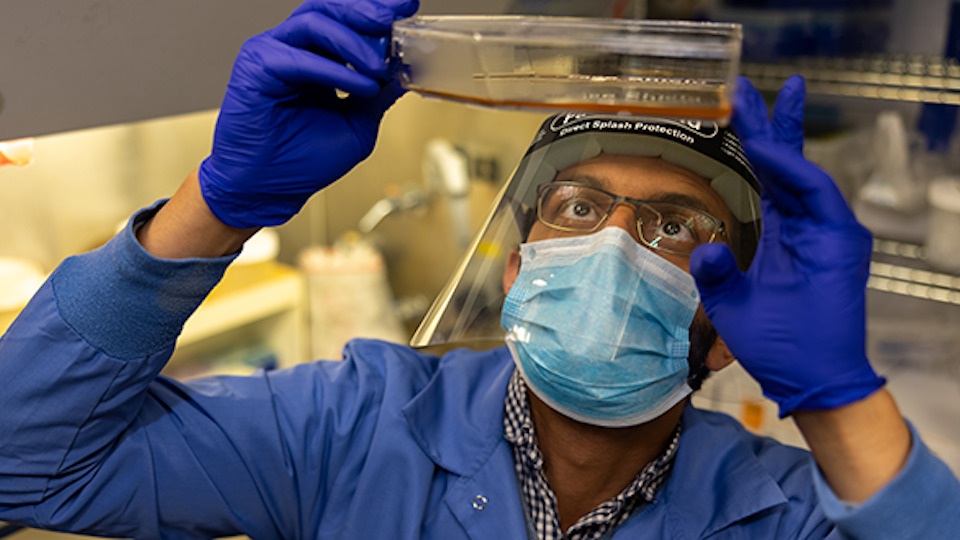 an individual holds up a specimen and examines it from beneath