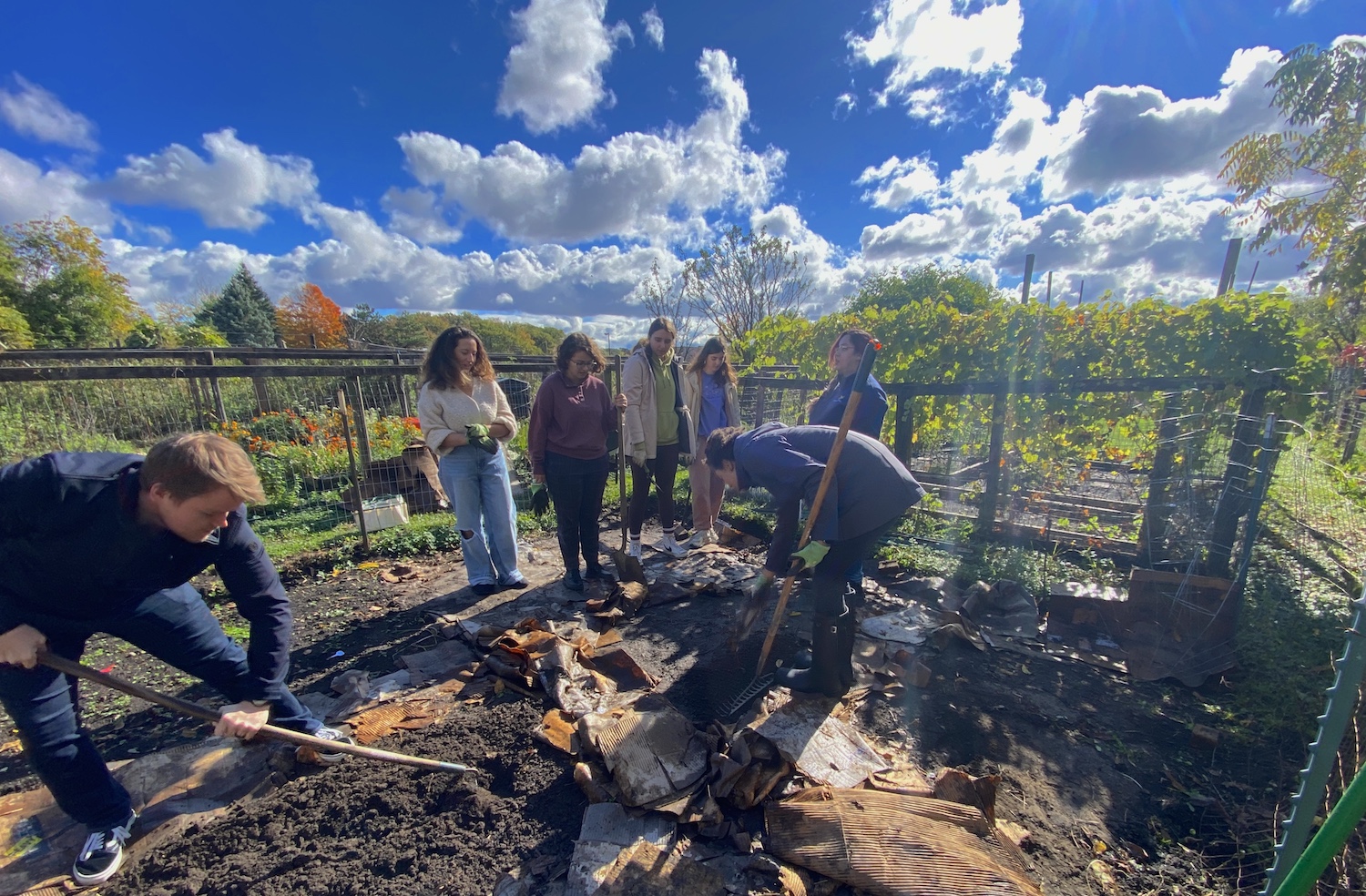 A group of students in a garden, some digging with shovels