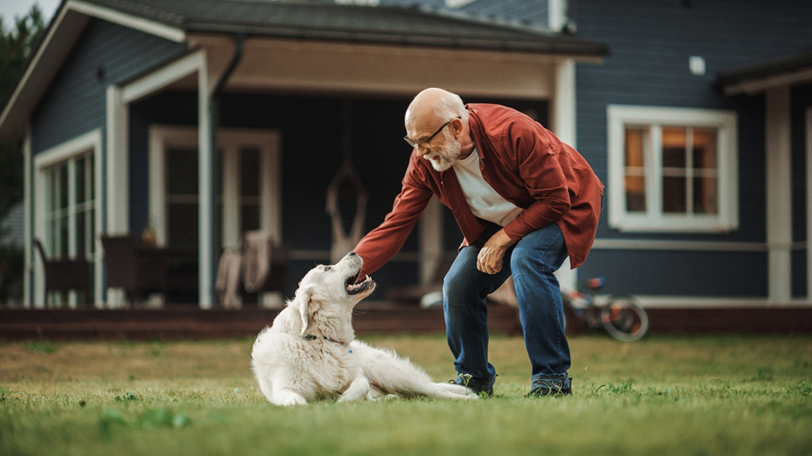 An older man petting his dog. The dog is sitting on the grass in the front yard of a home, looking up at the man.