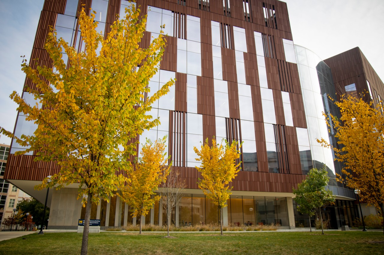 View of the Biological Sciences Building in fall as seen from the Diag