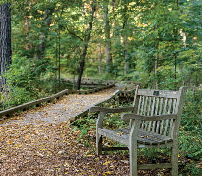 A bench surrounded by trees in the Matthaei Botanical Gardens.