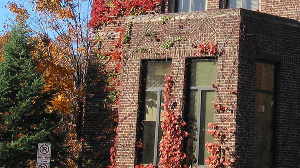 Brick building with vines and leaves growing up its side.