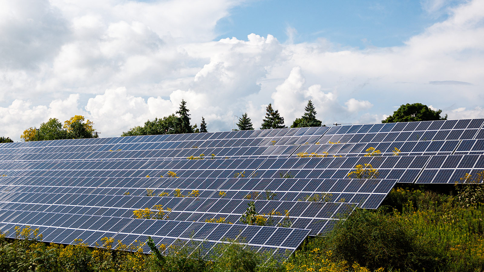 A wide array of solar panels at the North Campus Research Complex under a cloudy sky.