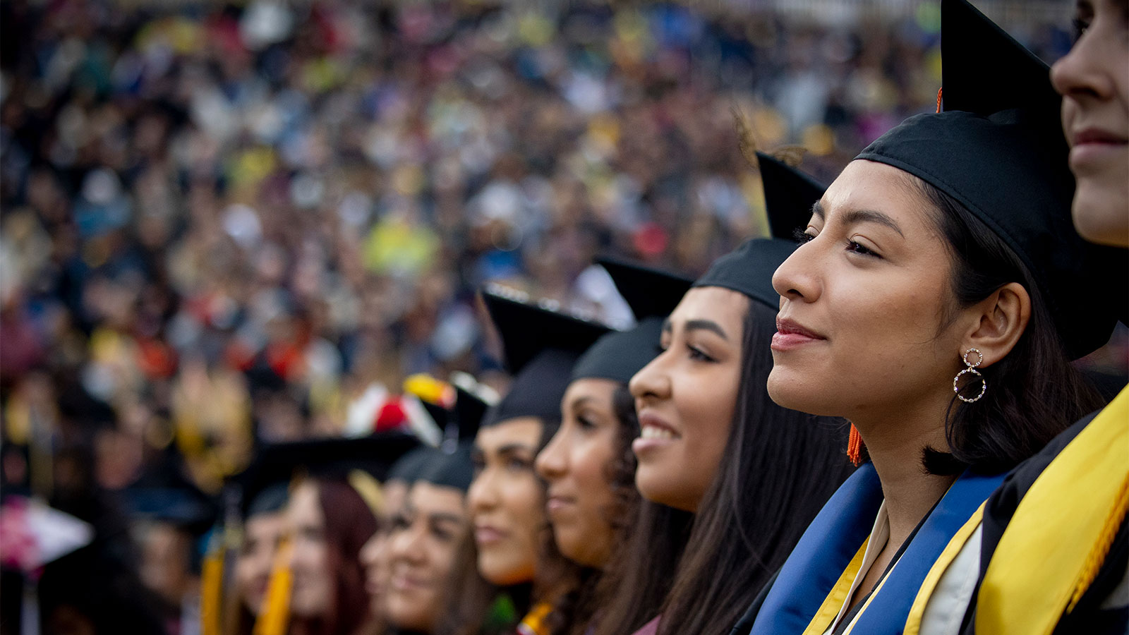 A row of students in graduation attire amongst a crowd.
