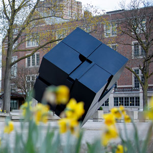 The Cube, a bold black sculpture, is tilted on one corner and framed by blooming yellow flowers.