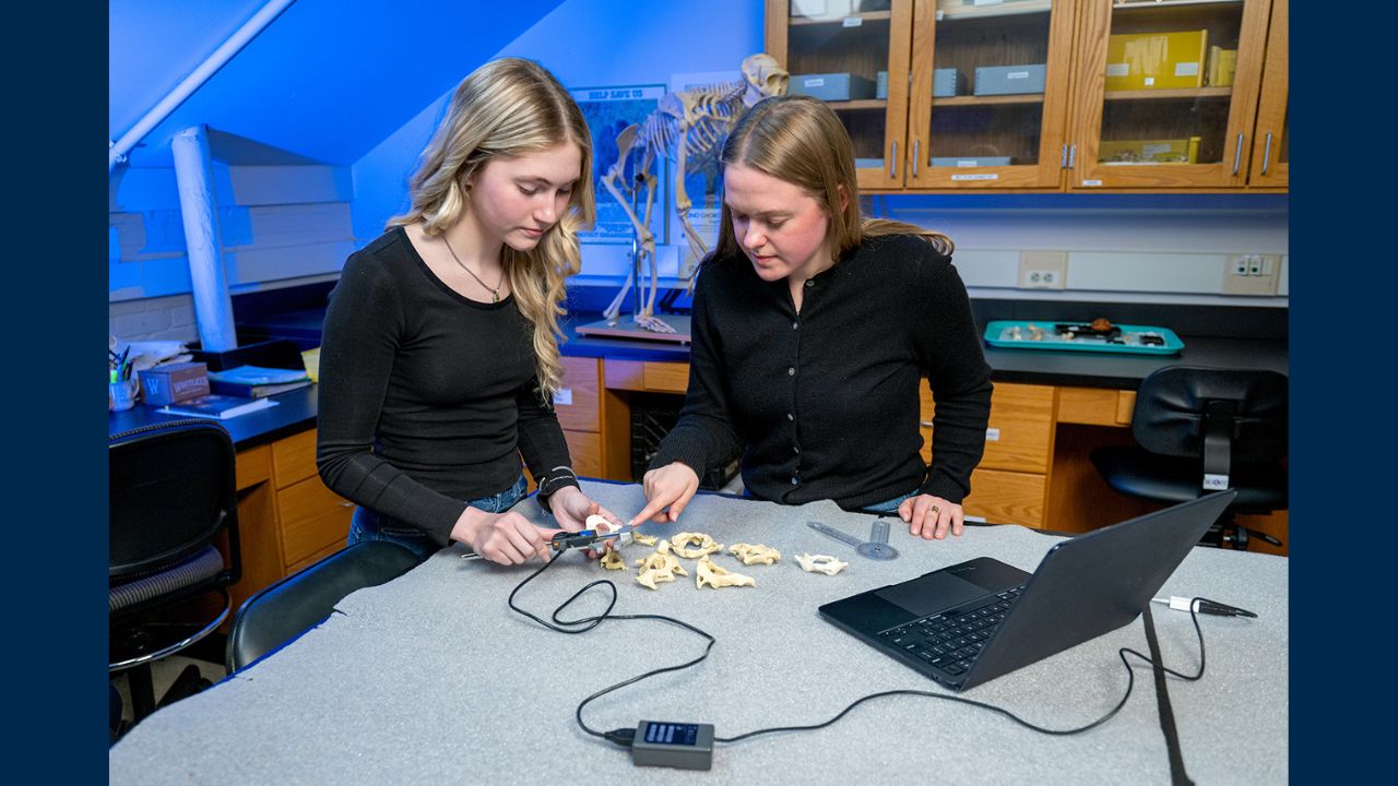 Two students examine a collection of bones at a laboratory table, using a digital tool connected to a laptop; an articulated skeleton and specimen cabinets stand in the background.