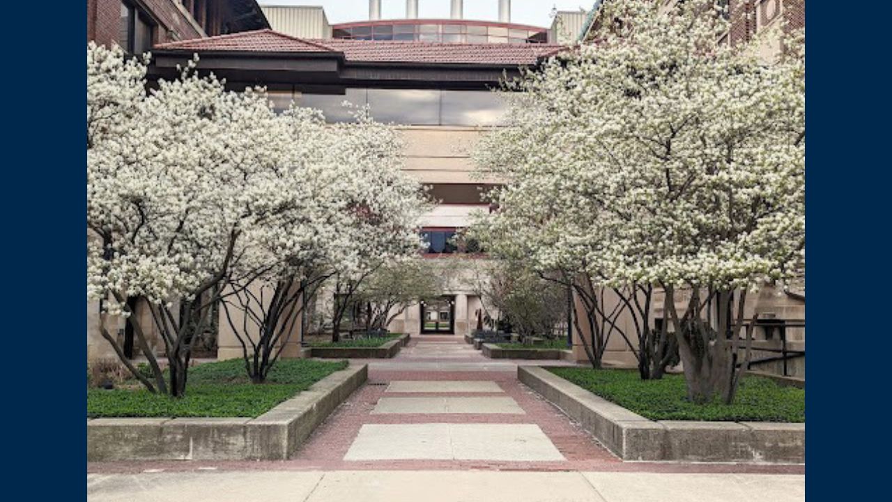 Exterior of the physics building in springtime. Flowering trees flank the walkway.