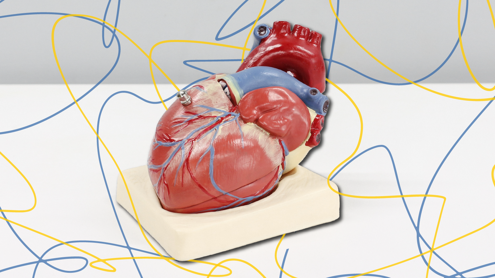 An enlarged model of a human heart with blue and yellow swirls around it.