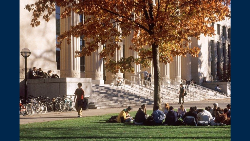 Students sit one the grass in a circle under a tree