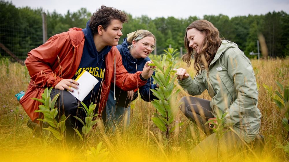 A University of Michigan instructor teaching students outdoors in a field.