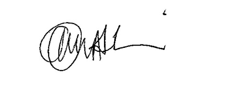 Omolade Adunbi signature