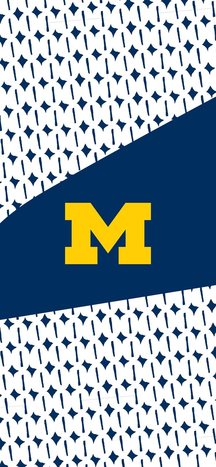 The University of Michigan logo on a patterned background.