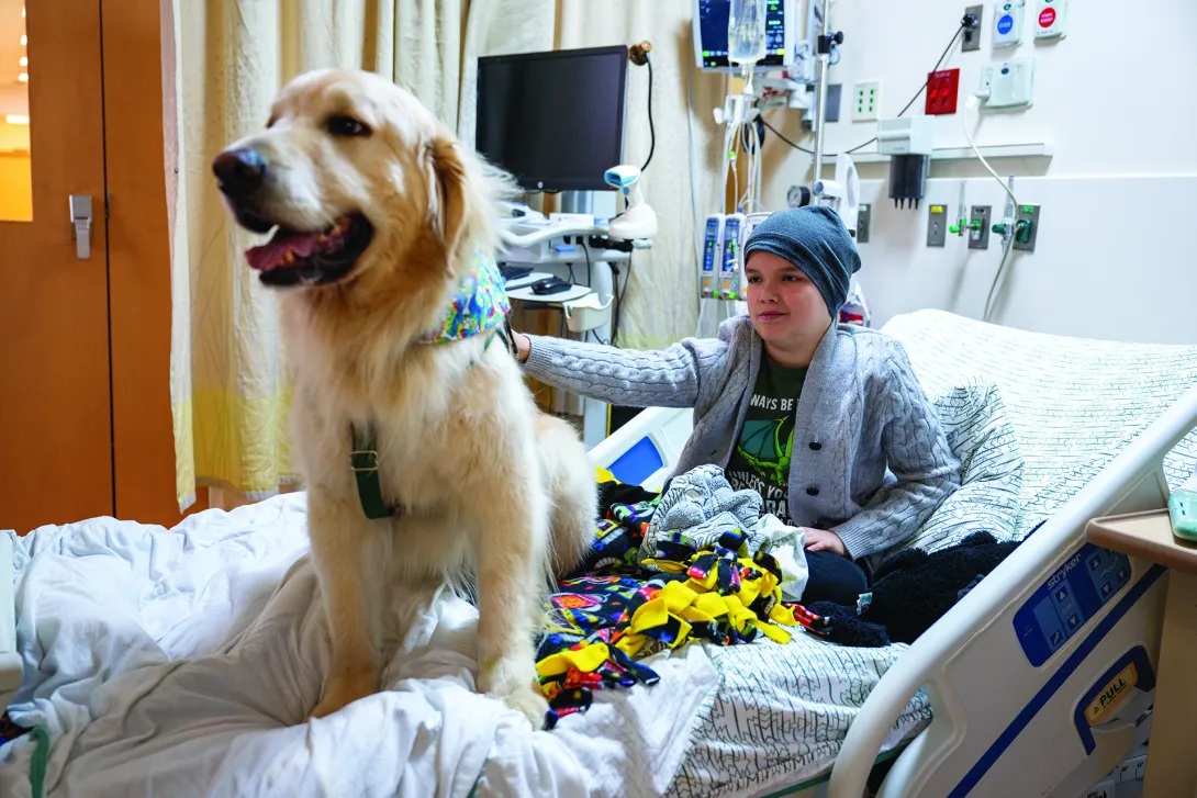 A golden retriever sits on a child's hospital bed. The child is petting the dog, and both are looking happy.