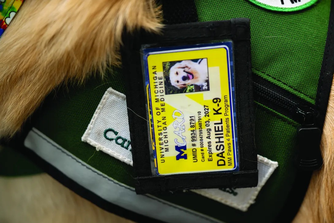Close up of a hospital ID card for one of the hospital dogs, golden retriever 'Dashiel'.
