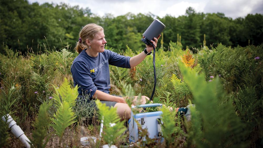 A woman is sitting cross legged outside on the ground. She is surrounded by ferns and other plants. There are trees in the background. She is holding a piece of equipment and there is more equipment nearby. She is wearing a shirt with a block M and the words “Biological Station” on it.