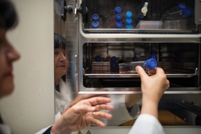 Castro reaches for a test tube in her lab.