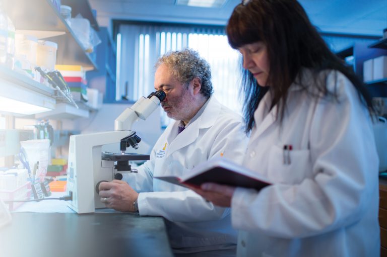 Castro and Lowenstein working in their lab.