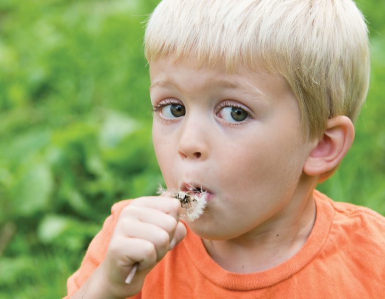 Chad Carr holding a dandelion.