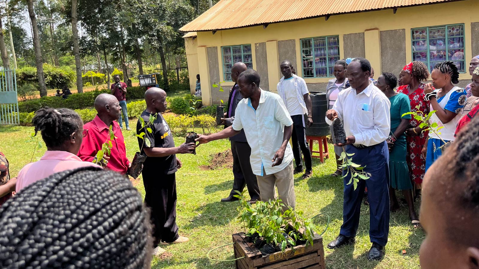 A group of community members in Kenya are outside receiving tree seedlings.