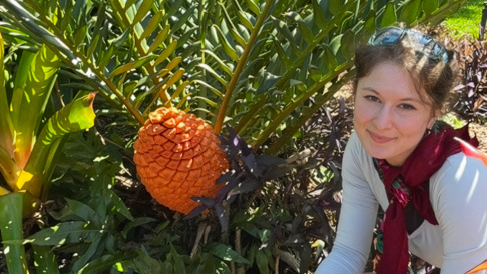 PhD student Gabrielle May kneels next to a cycad tree in a botanical garden.