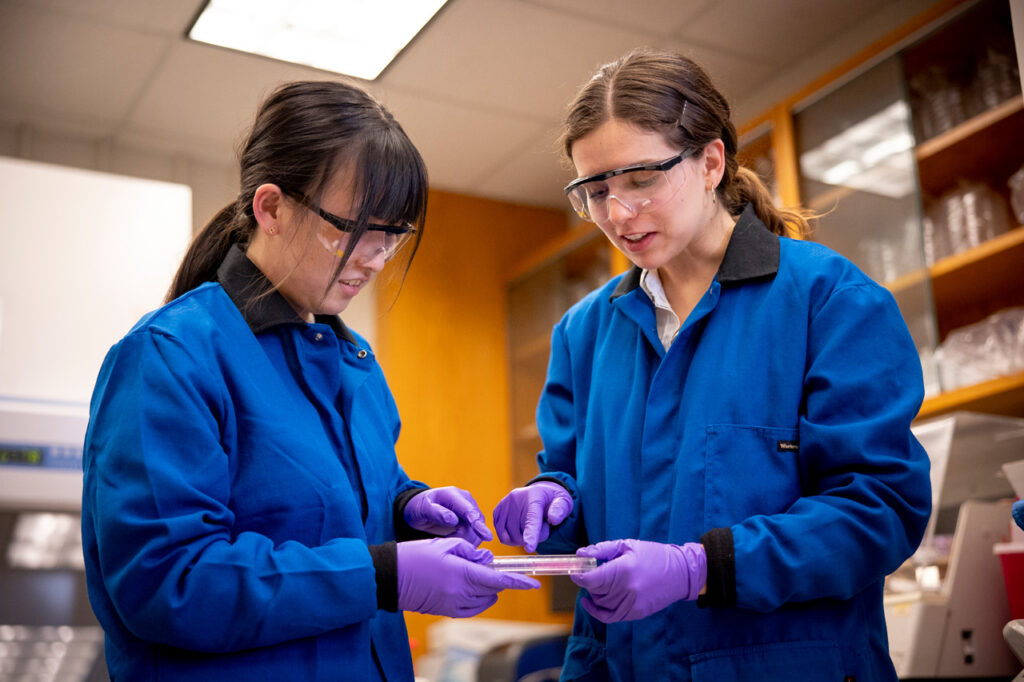 Two female students in lab coats, rubber gloves, and protective goggles both hold a container of samples showing the results of a test.