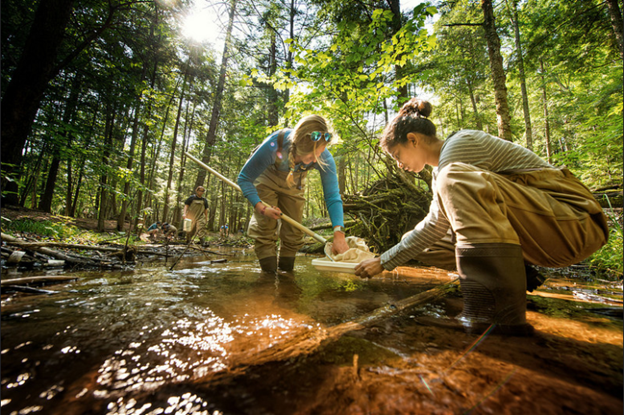 SEAS students doing research in a Michigan river.