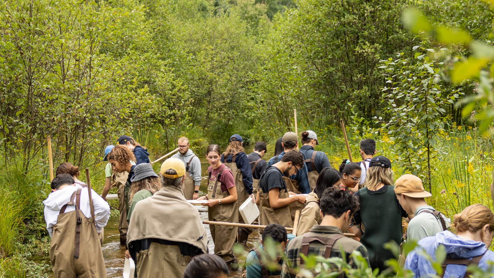 A diverse group of students stands in a shallow creek surrounded by vegetation, observing their surroundings. They are wearing waders. Many are holding tools or taking notes.