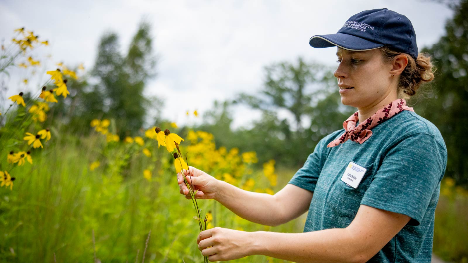 A woman is holding wildflowers and standing near a field where wildflowers bloom. She is wearing a hat and a name tag from U‑M’s Matthaei Botanical Gardens and Nichols Arboretum.