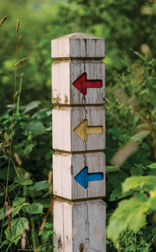 A trail marker at Matthaei Botanical Gardens.