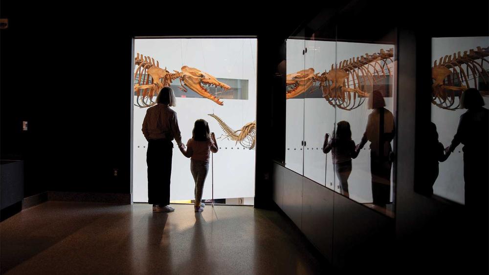 An adult and child observing a large fossil exhibit at the Museum of Natural History.