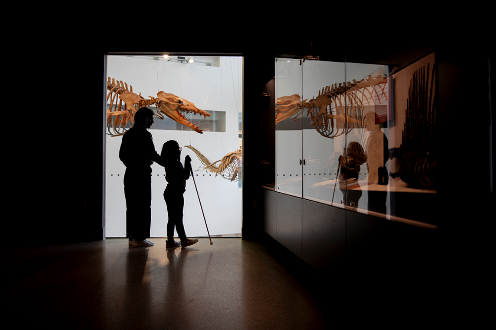 A shadowed view of a mother and daughter looking at fossils.