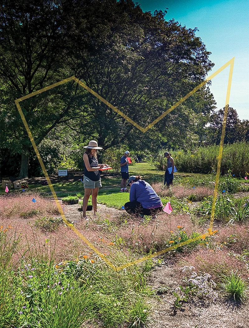 Four people are standing outside on a sunny day surrounded by trees, wildflowers, and other vegetation. Some of them are looking at the ground. Some of them are looking at or holding clipboards.