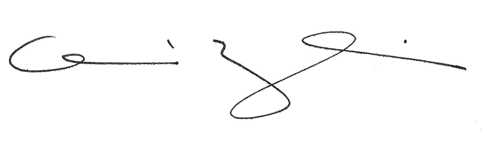 Geneviève Zubrzycki signature