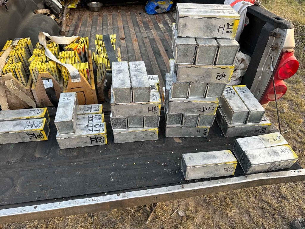 Sherman live-traps are stacked on the bed of a pickup truck