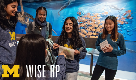 WISE RP Strategic Fund - 314018