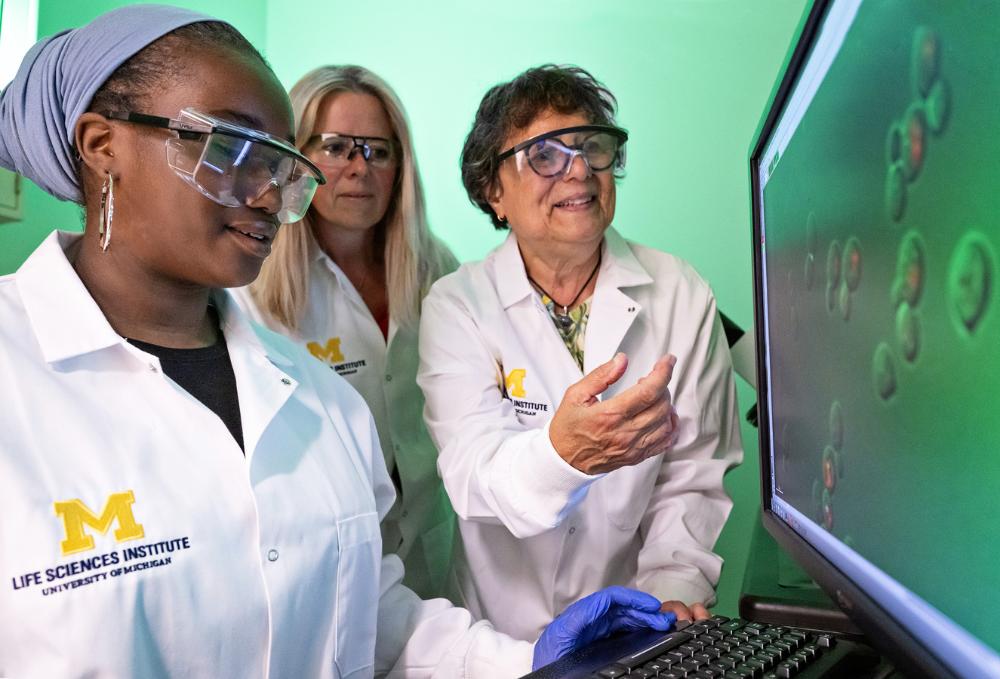 Scientists collaborating in a lab