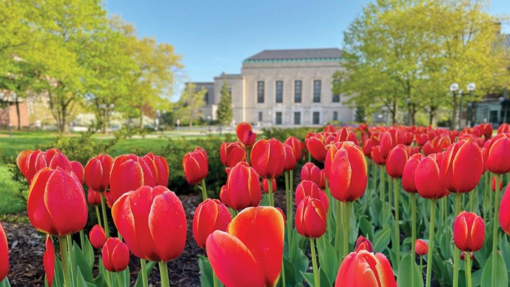 Flowers in front of the Rackham Building