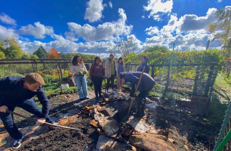 A group of students in a garden, some digging with shovels