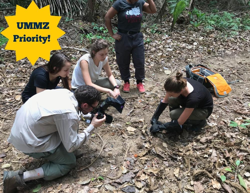 Students conducting fieldwork
