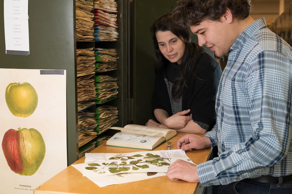 Two researchers examine a Herbarium specimen. 