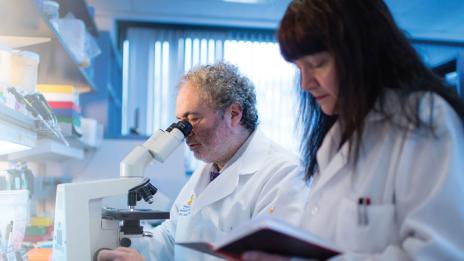 Researchers Castro and Lowenstein working in their lab.