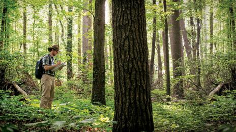 Matthew Bertrand in Saginaw Forest.