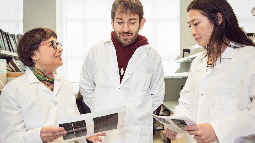 Two graduate students working with their primary investigator in the Life Sciences Institute