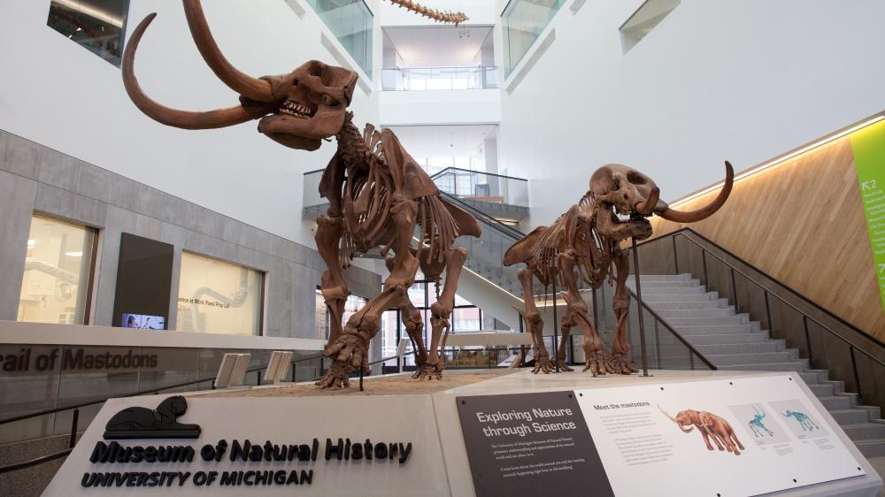 Museum of Natural History's  entrance with mastodon couple