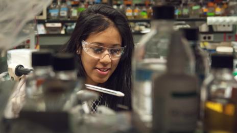 Biological Chemistry Graduate Program Support - 320760