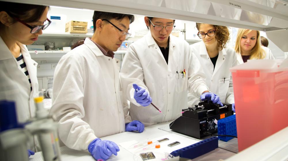 A group of male and female students performing an experiment in a laboratory