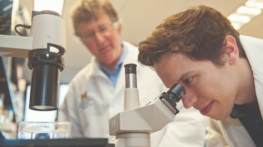  A male medical professional looking into a microscope while another male medical professional is in the background