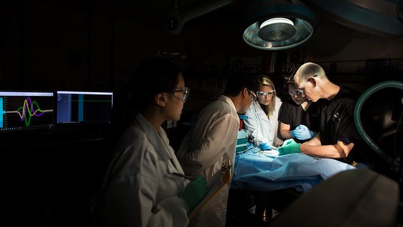 BME-MS Research Fund for Engineering Technologies in Medicine - 335678 ...