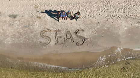 SEAS Annual Fund - 302341