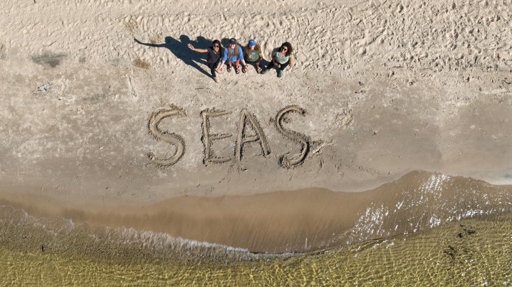 SEAS students on the beach